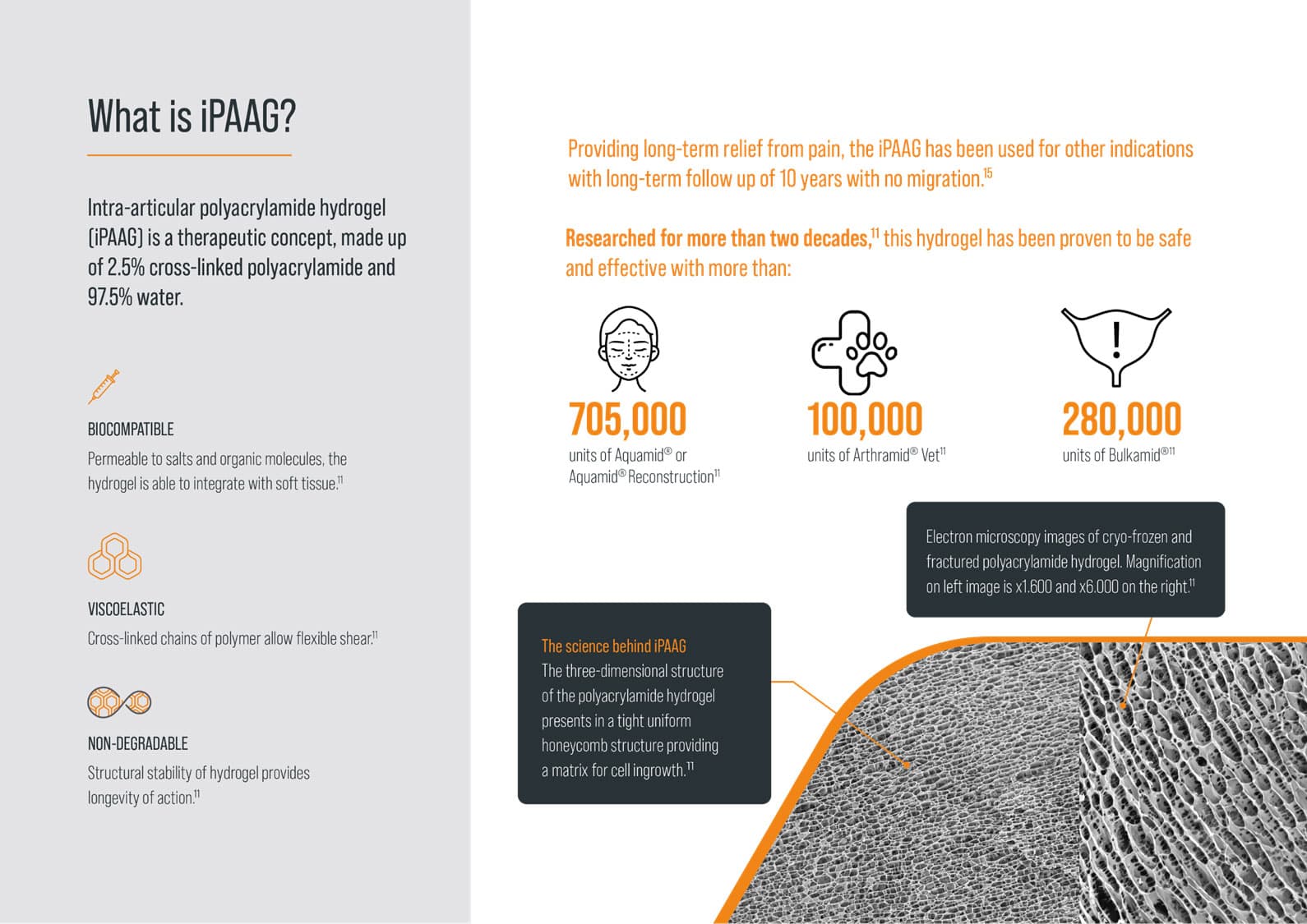 What is iPAAG polyacrylamide hydrogel